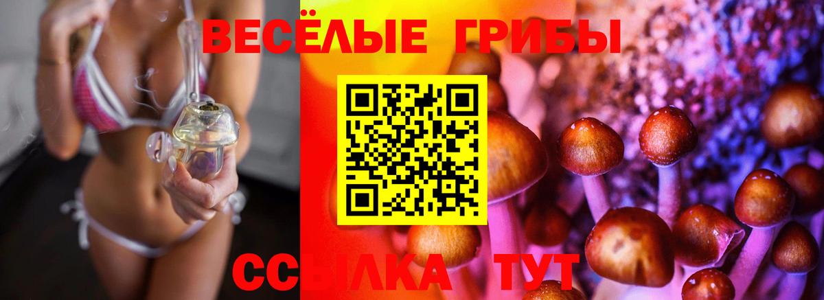 Галлюциногенные грибы Psilocybe Бор